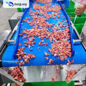 水平输送机 - 输送系统