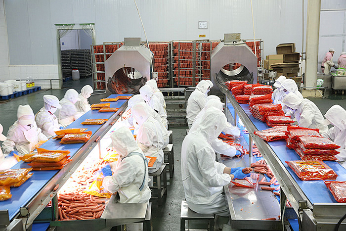 Application of plastic modules in the food industry
