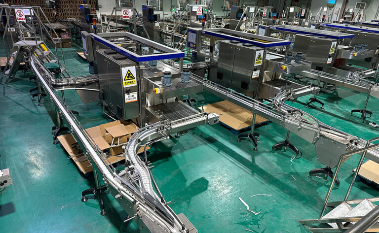 Flexible Chain Conveyor Line