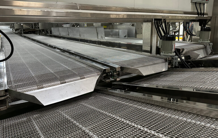 Flat Wire Double-Helix Mesh Conveying Equipment