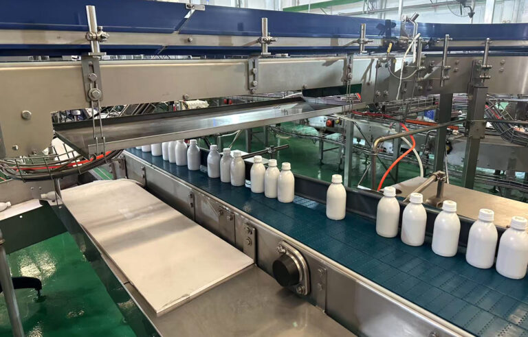 Food & Beverage Bottle Conveyor Line