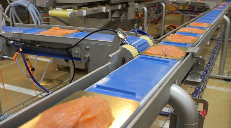 Food-Grade Belt Conveyor
